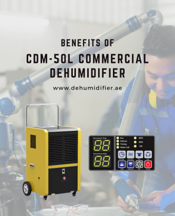 Commercial dehumidifier for basement